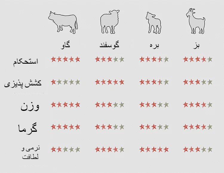 فرآیند تولید چرم گاوی‌و‌تفاوت‌های آن باسایرچرم‌ها