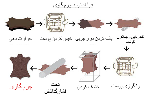 فرآیند تولید چرم گاوی‌و‌تفاوت‌های آن باسایرچرم‌ها